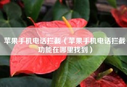 苹果手机电话拦截（苹果手机电话拦截功能在哪里找到）