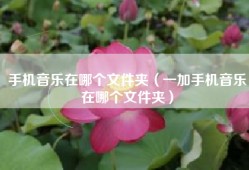 手机音乐在哪个文件夹（一加手机音乐在哪个文件夹）