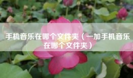 手机音乐在哪个文件夹（一加手机音乐在哪个文件夹）