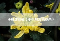 手机加滤镜（手机加滤镜效果）