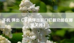 手机 弹出（手机弹出窗口拦截功能在哪里关闭）