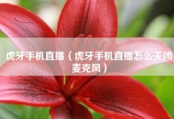 虎牙手机直播（虎牙手机直播怎么关闭麦克风）