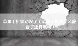 苹果手机震动没了（苹果手机为什么静音了还有震动）