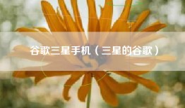 谷歌三星手机（三星的谷歌）