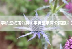 手机壁纸蒲公英（手机壁纸蒲公英图片）