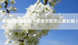 苹果手机怎么截（苹果手机怎么截长图）