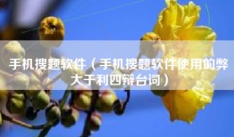 手机搜题软件（手机搜题软件使用的弊大于利四辩台词）