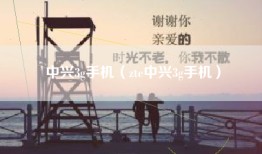 中兴3g手机（zte中兴3g手机）