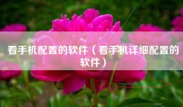 看手机配置的软件（看手机详细配置的软件）