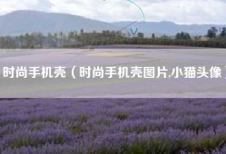 时尚手机壳（时尚手机壳图片,小猫头像）