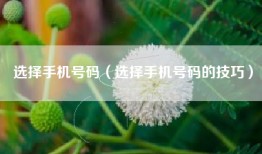 选择手机号码（选择手机号码的技巧）
