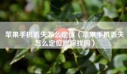 苹果手机丢失怎么定位（苹果手机丢失怎么定位跟踪找回）