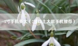 5寸手机多大（7寸以上大屏手机推荐）