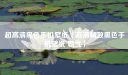 超高清黑色手机壁纸（高清精致黑色手机壁纸 霸气）