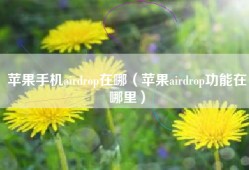 苹果手机airdrop在哪（苹果airdrop功能在哪里）