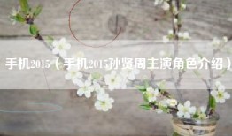 手机2015（手机2015孙贤周主演角色介绍）