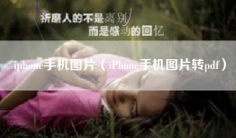 iphone手机图片（iPhone手机图片转pdf）