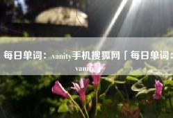 每日单词：vanity手机搜狐网「每日单词：vanity」