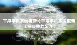 苹果手机系统更新（苹果手机系统更新无法安装怎么办）