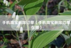 手机淘宝删除订单（手机淘宝删除订单在哪）