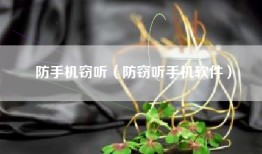 防手机窃听（防窃听手机软件）