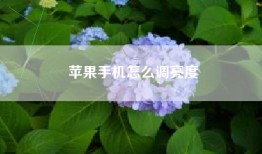 苹果手机怎么调亮度
