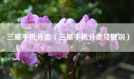三星手机分类（三星手机分类及区别）