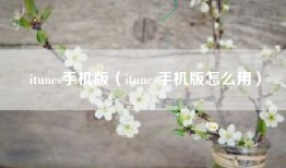 itunes手机版（itunes手机版怎么用）