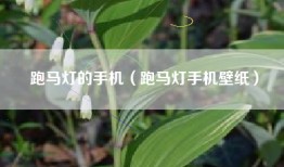 跑马灯的手机（跑马灯手机壁纸）
