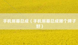 手机屏幕总成（手机屏幕总成哪个牌子好）
