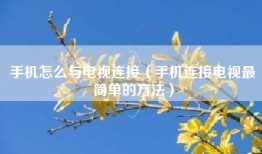 手机怎么与电视连接（手机连接电视最简单的方法）