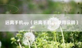 远离手机app（远离手机app使用说明）