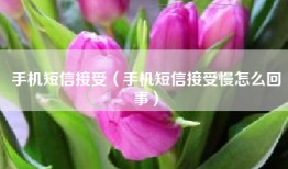 手机短信接受（手机短信接受慢怎么回事）