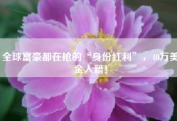 全球富豪都在抢的“身份红利”，40万美金入籍！