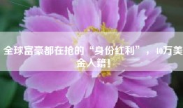 全球富豪都在抢的“身份红利”，40万美金入籍！