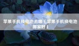 苹果手机换电池去哪（苹果手机换电池哪家好）