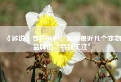 《雕说》专栏回归，聊聊最近几个宠物品牌的“特别关注”