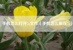 手机怎么打开7z文件（手机怎么解压7z）