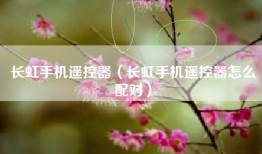 长虹手机遥控器（长虹手机遥控器怎么配对）