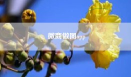 微商做图app