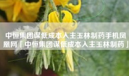 中恒集团谋低成本入主玉林制药手机凤凰网「中恒集团谋低成本入主玉林制药」