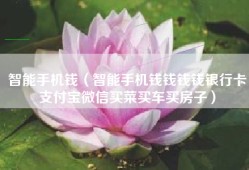 智能手机钱（智能手机钱钱钱钱银行卡支付宝微信买菜买车买房子）