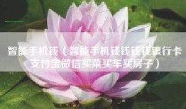 智能手机钱（智能手机钱钱钱钱银行卡支付宝微信买菜买车买房子）