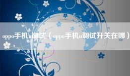 oppo手机u调试（oppo手机u调试开关在哪）