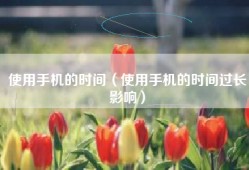 使用手机的时间（使用手机的时间过长影响）