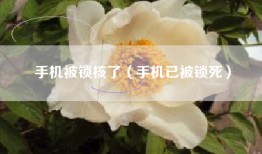 手机被锁核了（手机已被锁死）