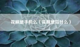 花椒是手机么（花椒是指什么）