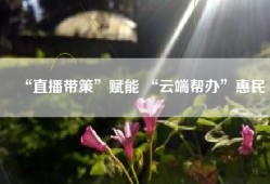 “直播带策”赋能 “云端帮办”惠民