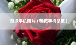 酷派手机图片（酷派手机壁纸）