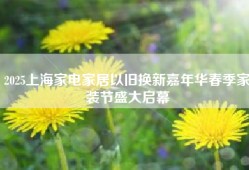 2025上海家电家居以旧换新嘉年华春季家装节盛大启幕